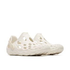 Eggshell