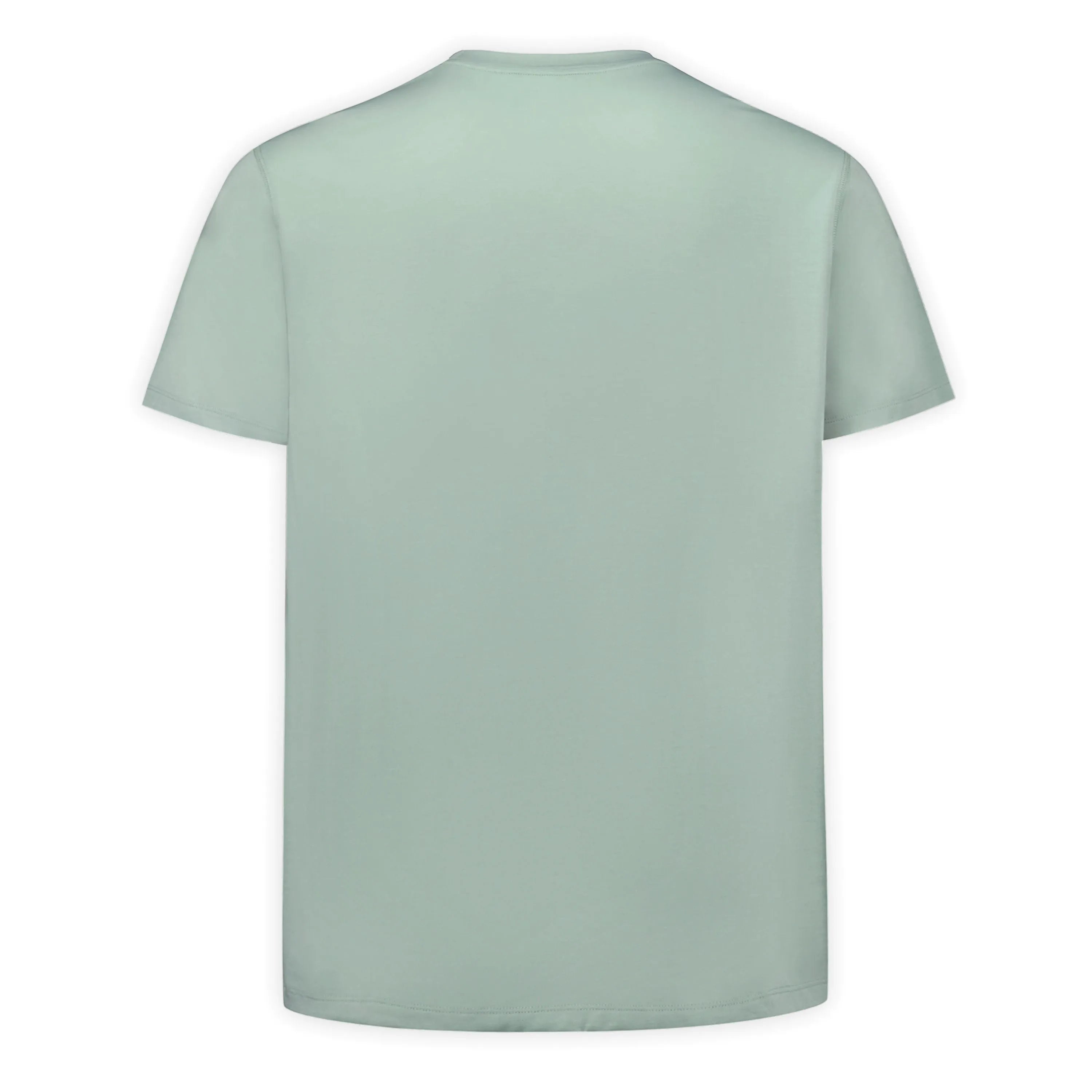 Iceberg Green